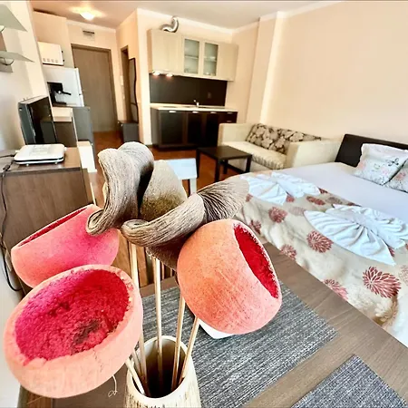 Menada Sunny Plaza Apartment *