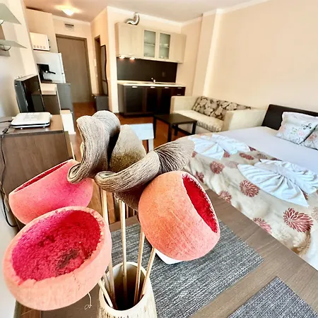 Menada Sunny Plaza Daire